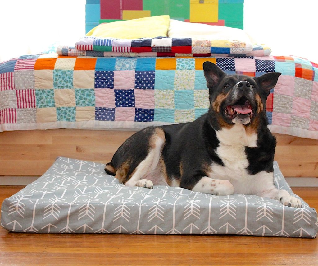 Crafting the Perfect DIY Dog Bed for Your Furry Friend