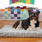 Crafting the Perfect DIY Dog Bed for Your Furry Friend