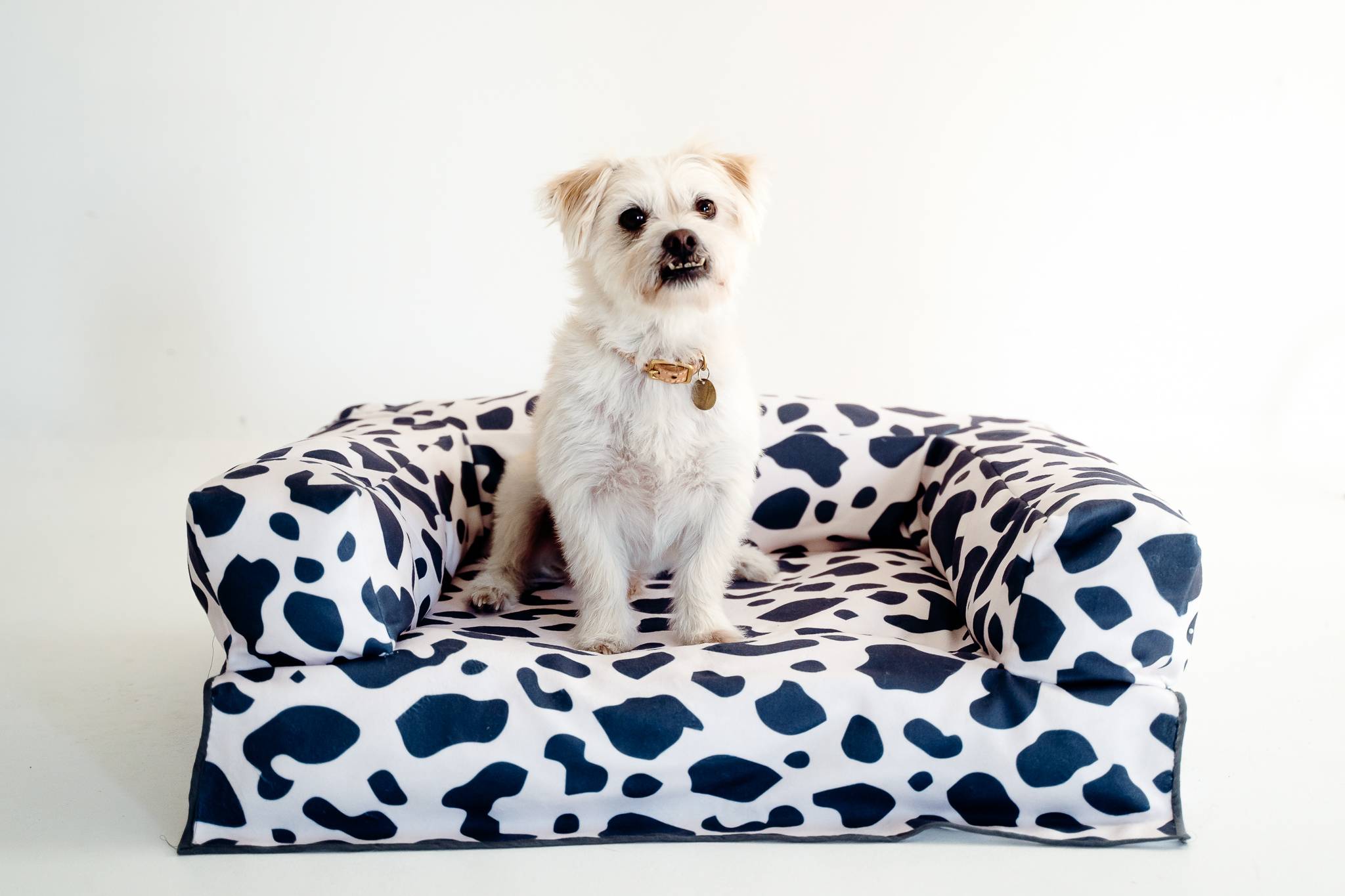 how to make a dog bed
