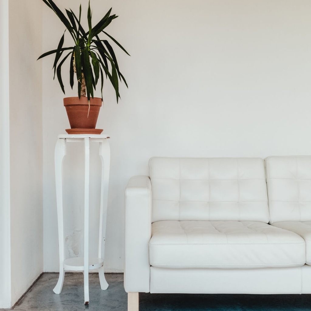 how to clean white leather sofa