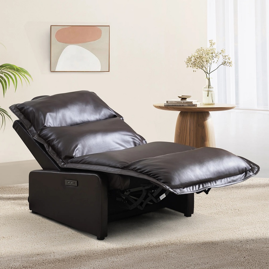 recliner sofa bed
