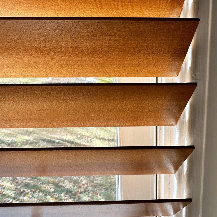 brown blinds